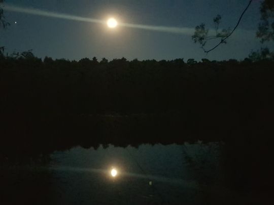 Rethmeiersee