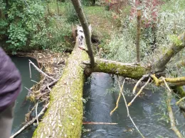 Ilm (Pfaffenhofen an der Ilm)-0