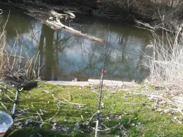 Ilm (Pfaffenhofen an der Ilm)