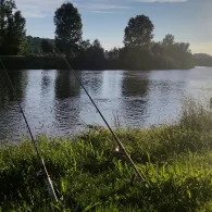 Neckar (Bad Friedrichshall)-1