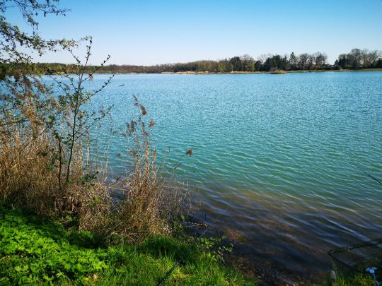 Kiebitzsee (Falkenberg) ALLE ANGELN
