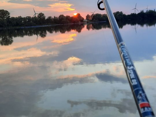 Großer Teich (Neermoor) ALLE ANGELN