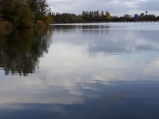 Großer Teich (Neermoor) ALLE ANGELN