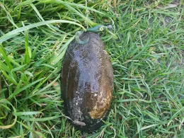 Großer Teich (Neermoor)-4