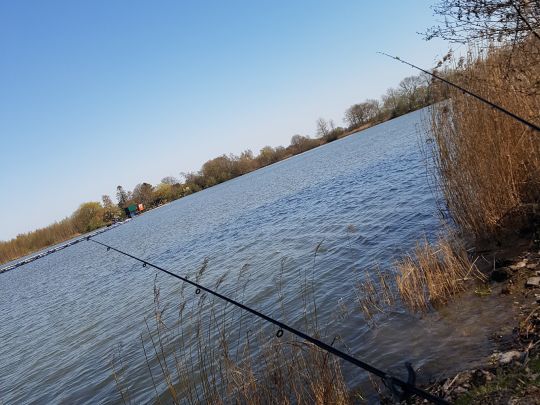 Großer Teich (Neermoor)-2