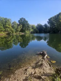 Dörpfeldsee (Hilden)-1