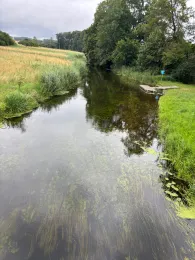 Warnow (Sternberg)-1