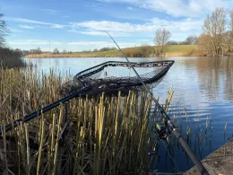 Rupensdorfer Teich (Schönberg)