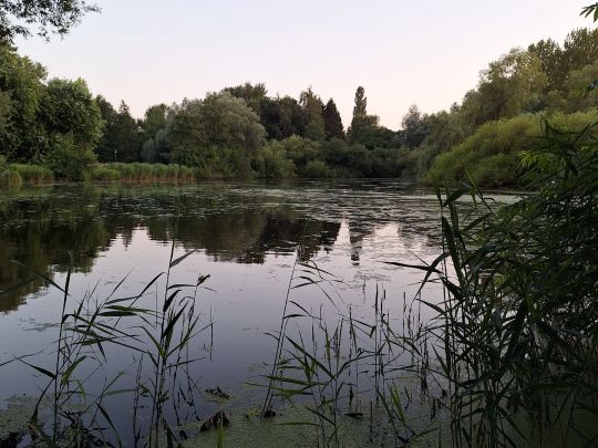 Moorwischparkseen (Bad Schwartau)-1