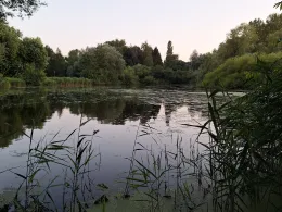 Moorwischparkseen (Bad Schwartau)-1