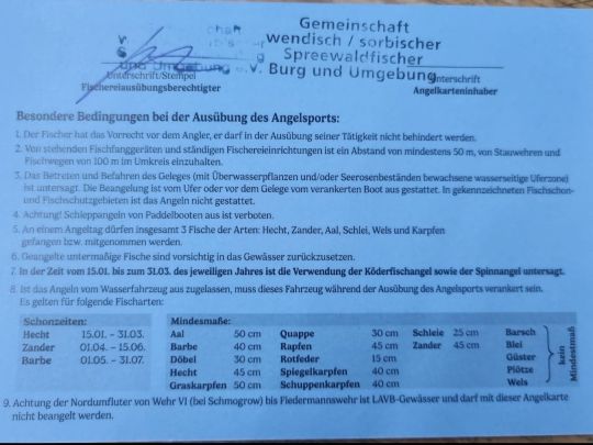 Spree (Burg/Spreewald)-4