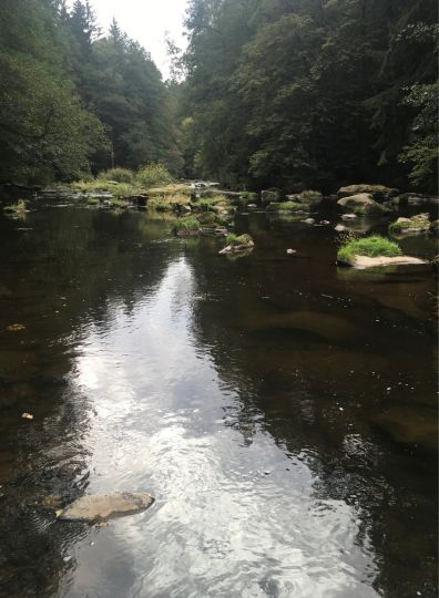 Pfreimd (Leuchtenberg)-1