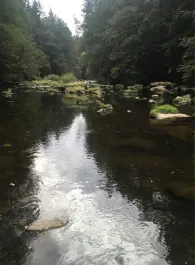 Pfreimd (Leuchtenberg)-1