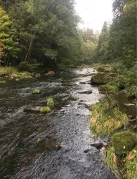 Pfreimd (Leuchtenberg)-4