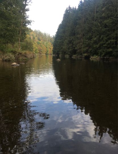 Pfreimd (Leuchtenberg)