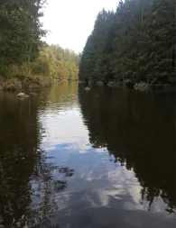 Pfreimd (Leuchtenberg)