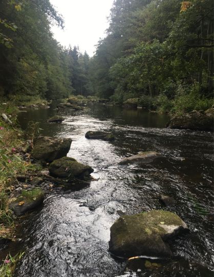 Pfreimd (Leuchtenberg)-2