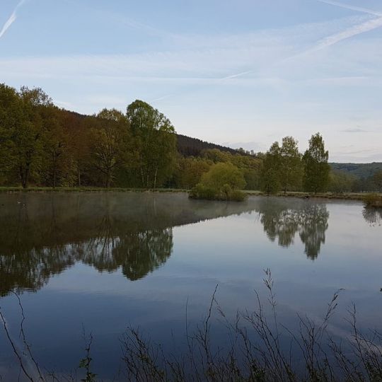 Keßpfuhlteich (Gottsbüren)
