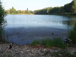 Diersfordter Waldsee-3