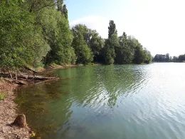 Diersfordter Waldsee-1