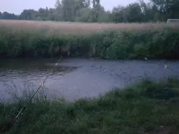 Dünsener Bach (Heidbäke)