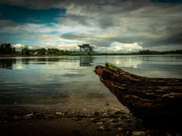 Stettmundsee (Goldkanal-See)
