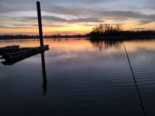 Stettmundsee (Goldkanal-See)-1