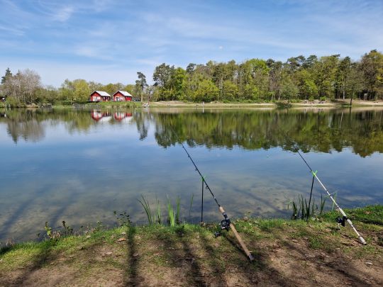 Waldsee Westerwiede (Bad Laer)-4