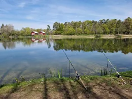 Waldsee Westerwiede (Bad Laer)-4
