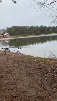 Waldsee Westerwiede (Bad Laer)