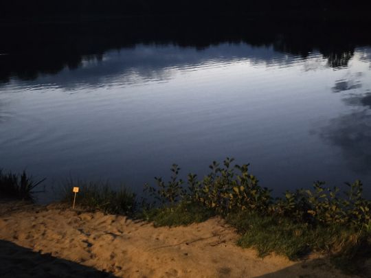 Waldsee Westerwiede (Bad Laer)-3