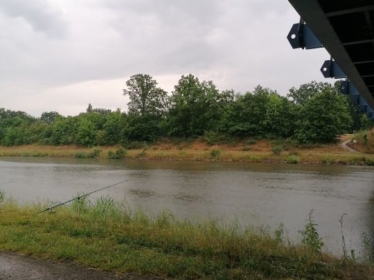 Mittellandkanal (Calvörde) angeln