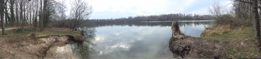 Baggersee Staffort-2