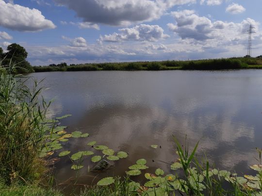 Angeln in Norderfriedrichskoog