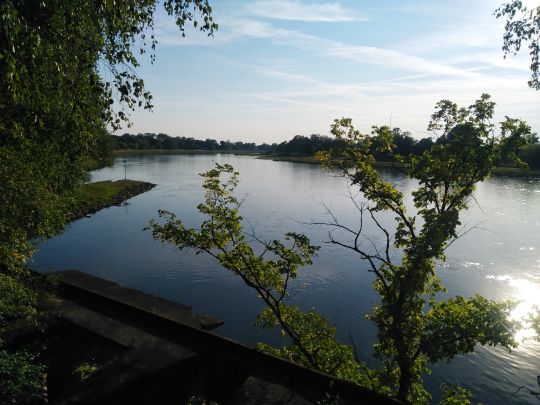 Elbe (Dessau)-2