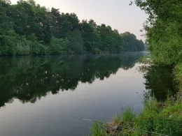 Pareyer Verbindungskanal-1