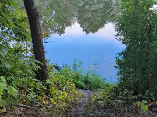 Pareyer Verbindungskanal-3