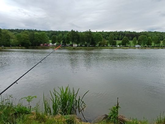 Teichanlage Hopfmannsfeld-2