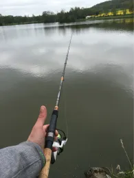 Teichanlage Hopfmannsfeld