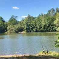 Dickertseen (Schweicheln)-3