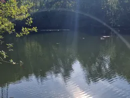 Dickertseen (Schweicheln)