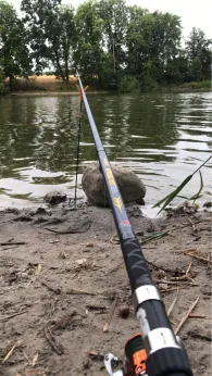 Krummer See (Altlandsberg)-3