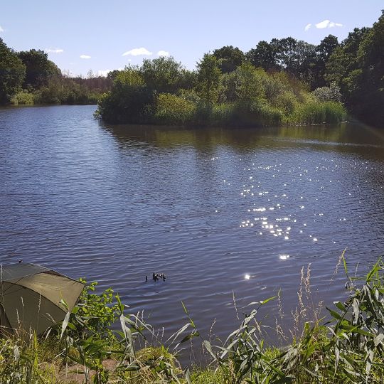 Krummer See (Altlandsberg)-2