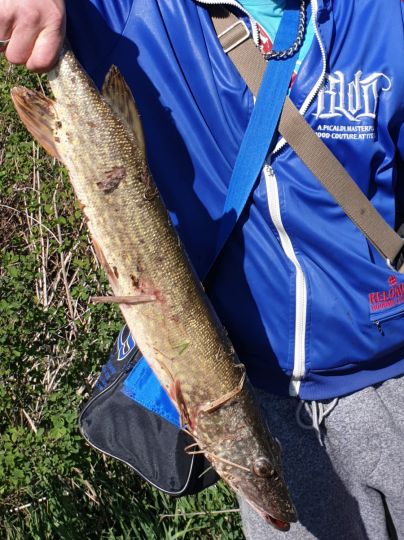 Krummer See (Altlandsberg)-1