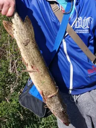 Krummer See (Altlandsberg)-1