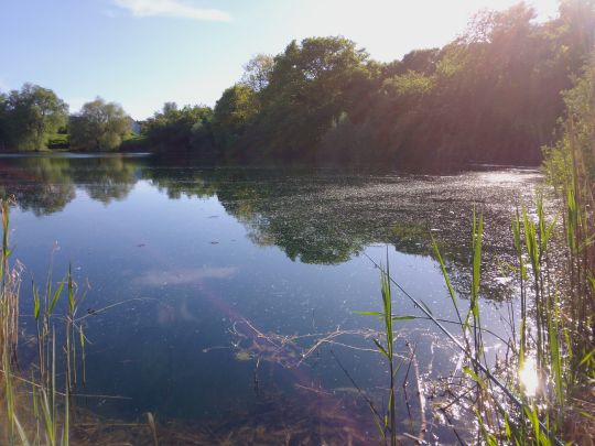 Reitschulschlagsee-2