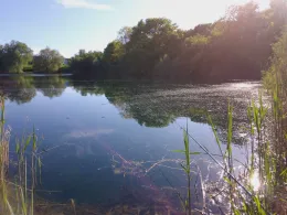 Reitschulschlagsee-2