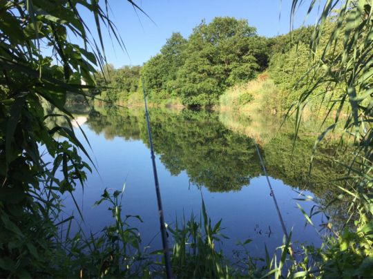 Reitschulschlagsee-3