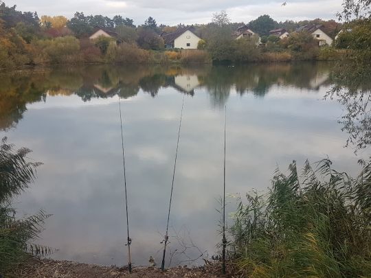 Reitschulschlagsee-1