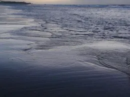 Nordsee (Vlissingen)-1